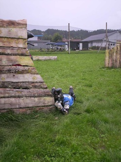 Paintball043-1024