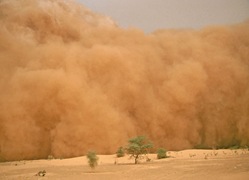 sandsturm3